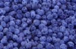 Blueberry Powder